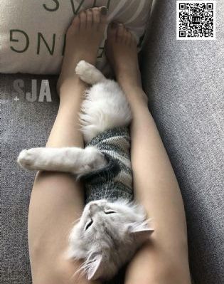 别惹蚂蚁国语版免费观看