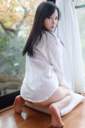国产精品麻豆免费版