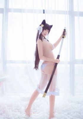 斗罗大陆樱花视频